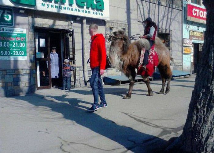 Russia Is A Place That Will Always Make You Say WTF (39 pics)