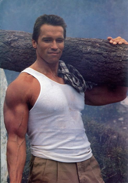 Arnold Schwarzenegger's 50 Different Roles From His 44 Year Career (50 pics)