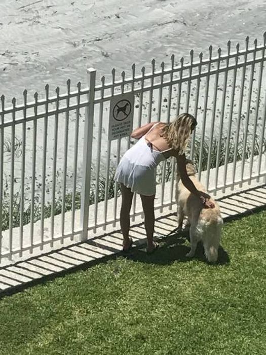 I Do What I Want. Part 85 (51 pics)