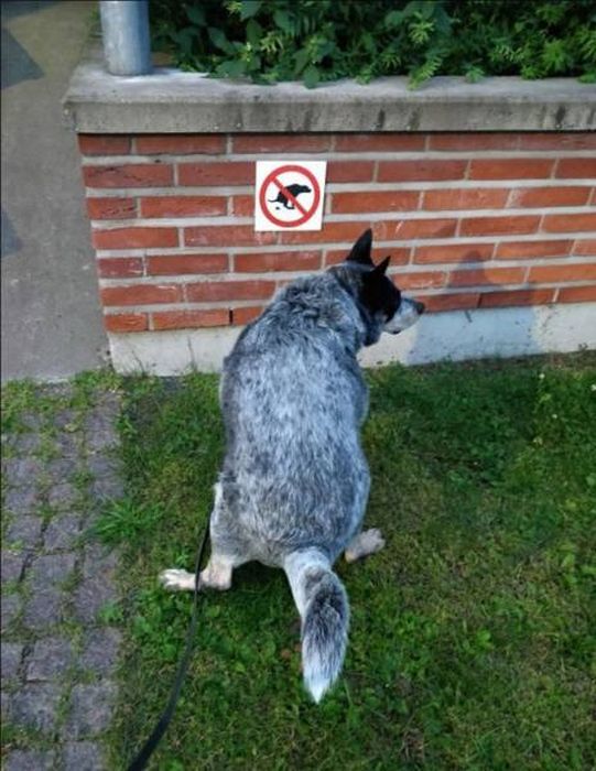 I Do What I Want. Part 85 (51 pics)
