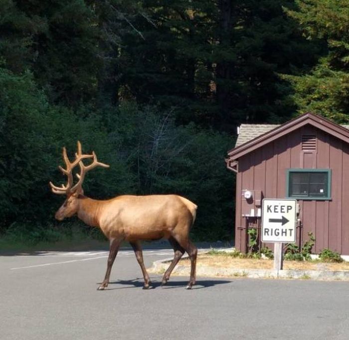 I Do What I Want. Part 85 (51 pics)