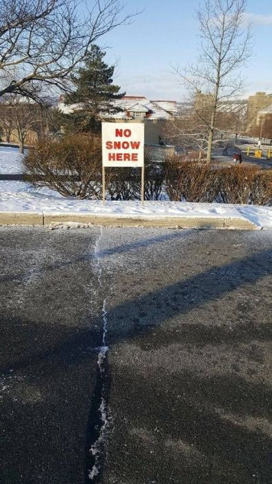 I Do What I Want. Part 85 (51 pics)