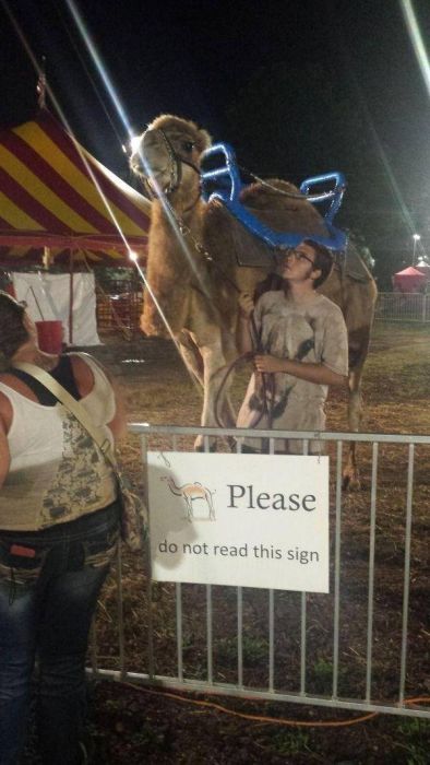 I Do What I Want. Part 85 (51 pics)
