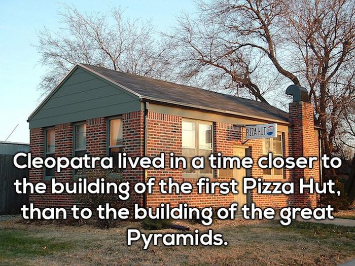 Facts That Sound Fake But Are Actually True (22 pics)