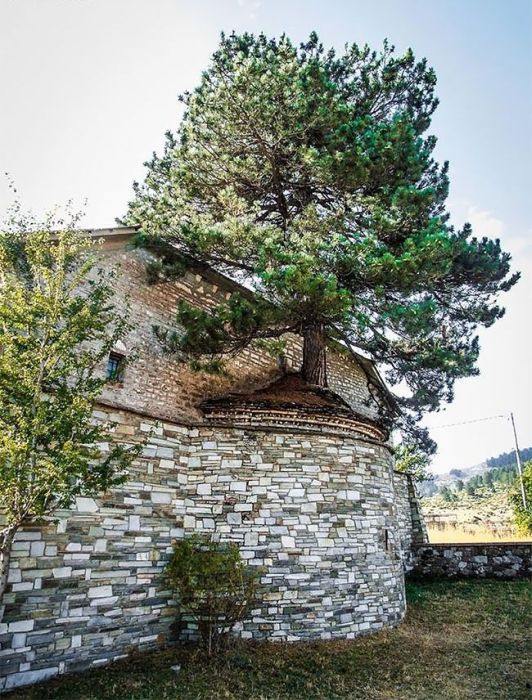 Church In Greece Has A 100 Year Old Tree On The Roof (5 pics)