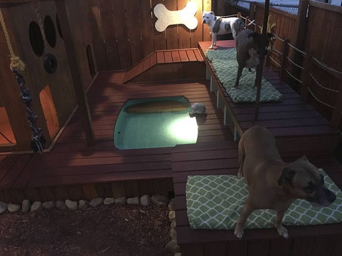 Man Creates A Paradise For His Dogs In His Backyard (8 pics)
