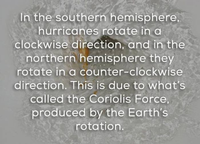 Facts That Will Help You Learn More About Hurricanes (16 pics)
