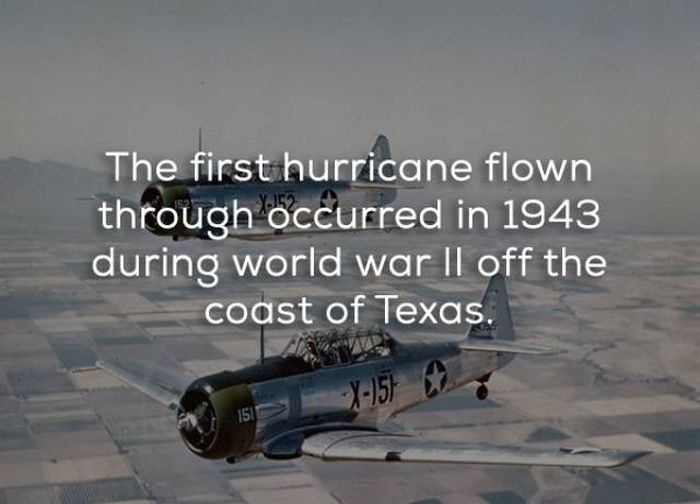 Facts That Will Help You Learn More About Hurricanes (16 pics)