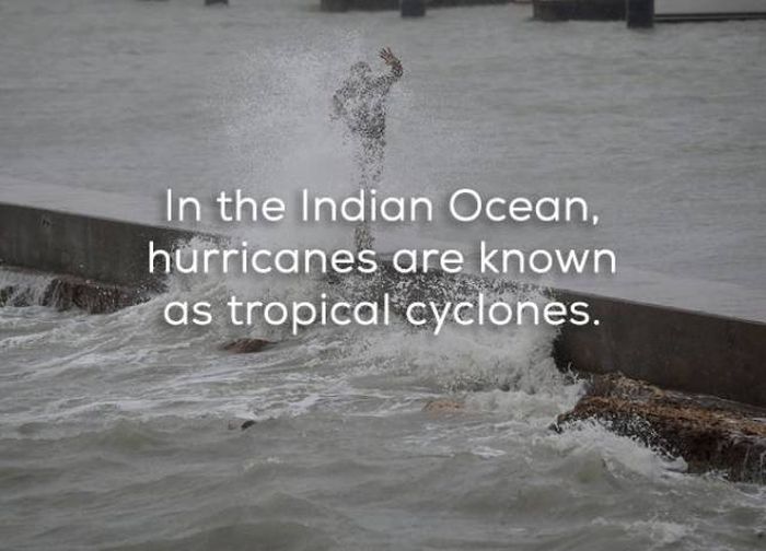 Facts That Will Help You Learn More About Hurricanes (16 pics)