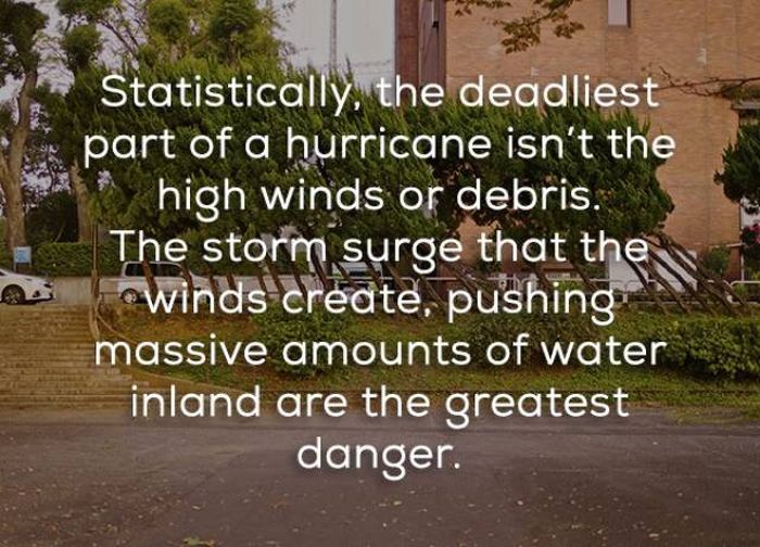 Facts That Will Help You Learn More About Hurricanes (16 pics)