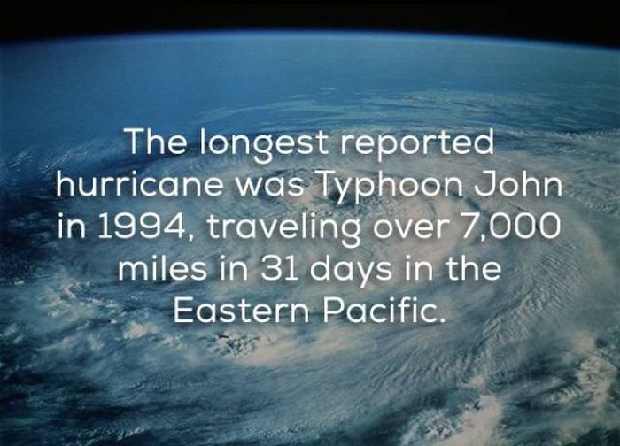 Facts That Will Help You Learn More About Hurricanes (16 pics)