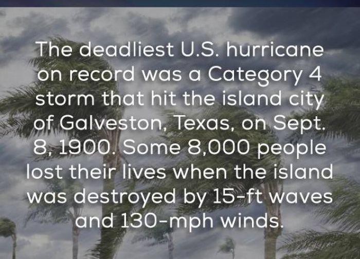 Facts That Will Help You Learn More About Hurricanes (16 pics)