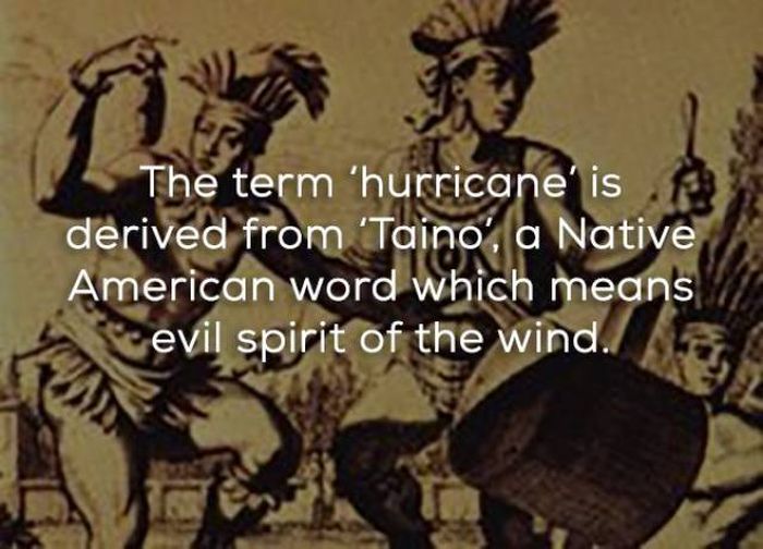 Facts That Will Help You Learn More About Hurricanes (16 pics)