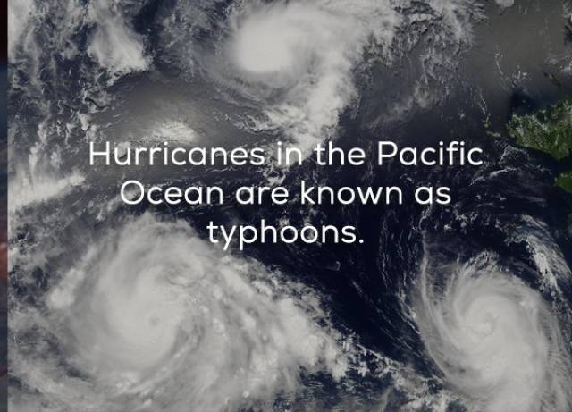 Facts That Will Help You Learn More About Hurricanes (16 pics)