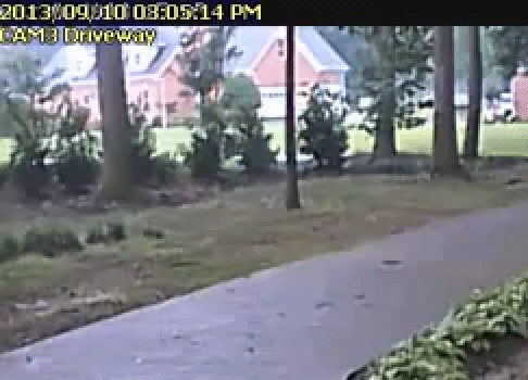 When Lightning Strikes It's Terrifying But Incredible (18 gifs)
