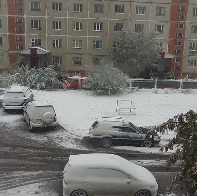 Photos Of August Snowfall In Yakutia (16 pics)