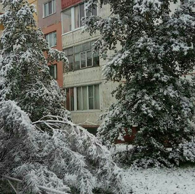 Photos Of August Snowfall In Yakutia (16 pics)