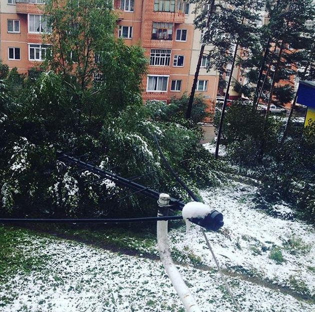 Photos Of August Snowfall In Yakutia (16 pics)