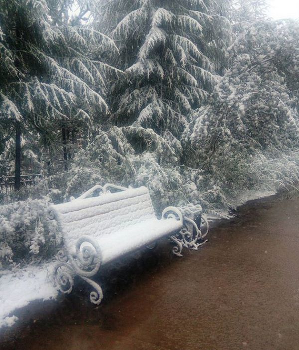 Photos Of August Snowfall In Yakutia (16 pics)