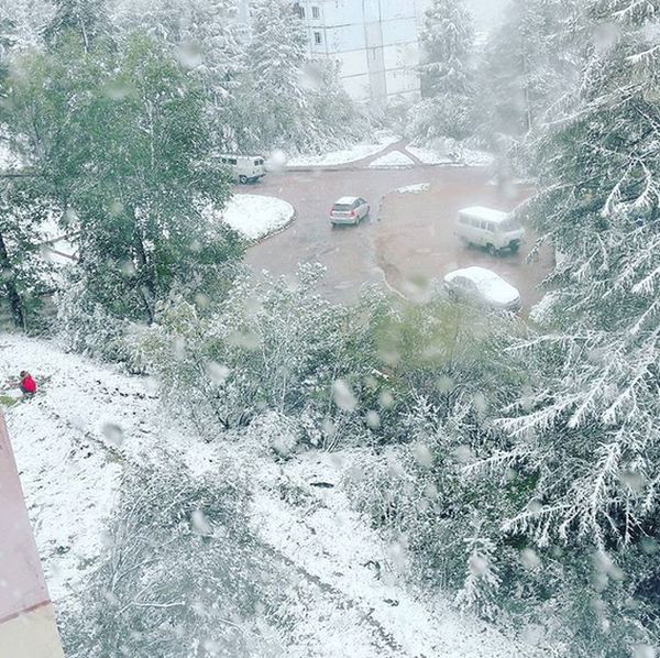 Photos Of August Snowfall In Yakutia (16 pics)