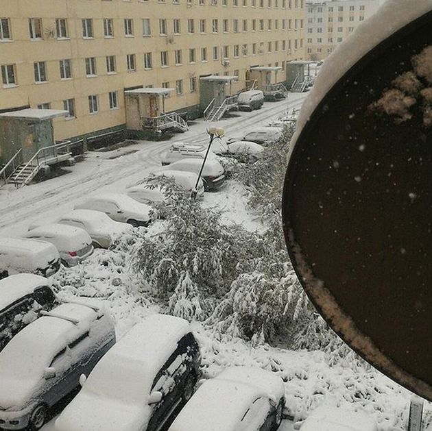 Photos Of August Snowfall In Yakutia (16 pics)