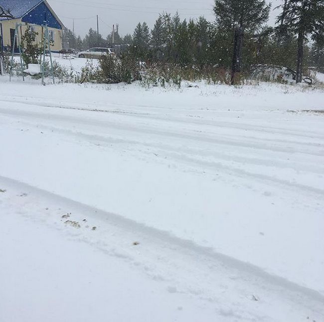 Photos Of August Snowfall In Yakutia (16 pics)
