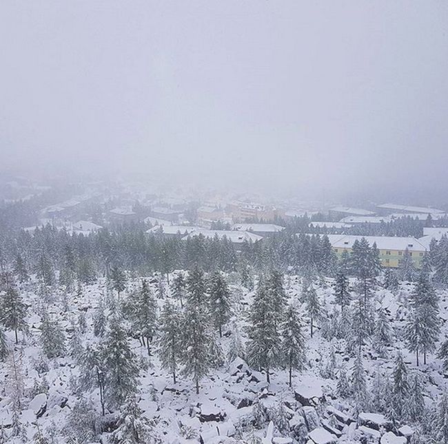 Photos Of August Snowfall In Yakutia (16 pics)