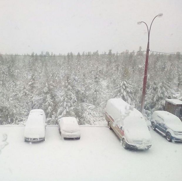 Photos Of August Snowfall In Yakutia (16 pics)