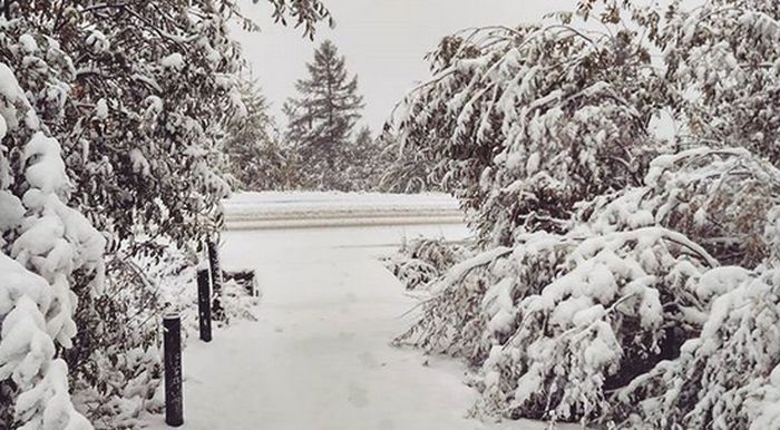 Photos Of August Snowfall In Yakutia (16 pics)