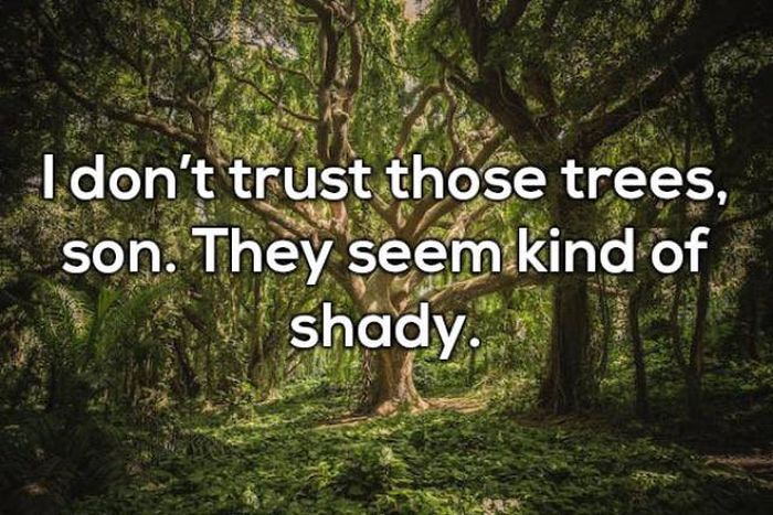 Selection Of Dad Jokes (25 pics)