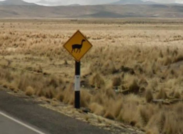 Bizarre Google Street View Photos (29 pics)