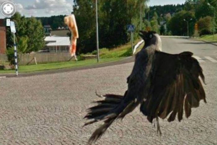 Bizarre Google Street View Photos (29 pics)