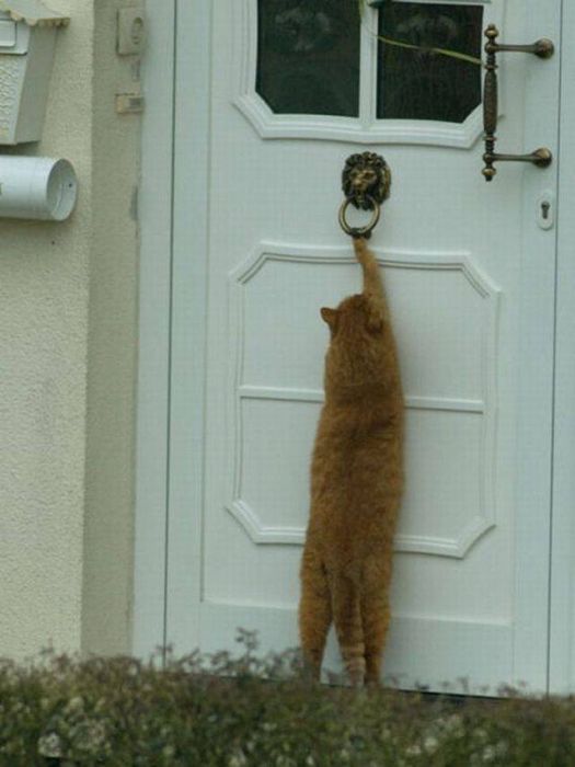 Acid Picdump (93 pics)