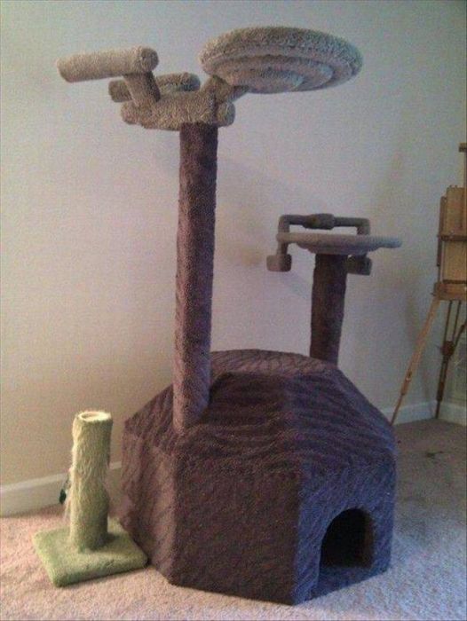 Acid Picdump (93 pics)
