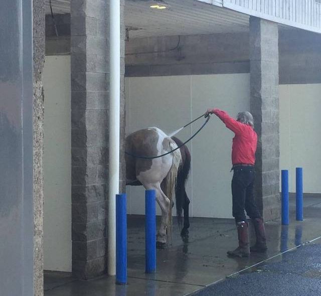 Acid Picdump (93 pics)