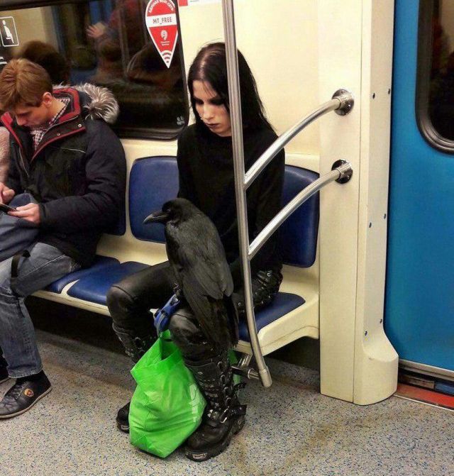 Acid Picdump (93 pics)