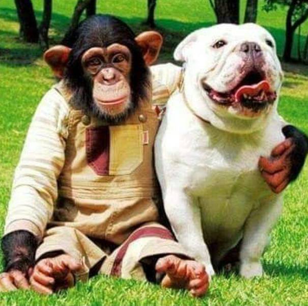 Acid Picdump (93 pics)