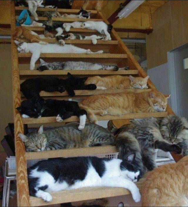 Acid Picdump (93 pics)