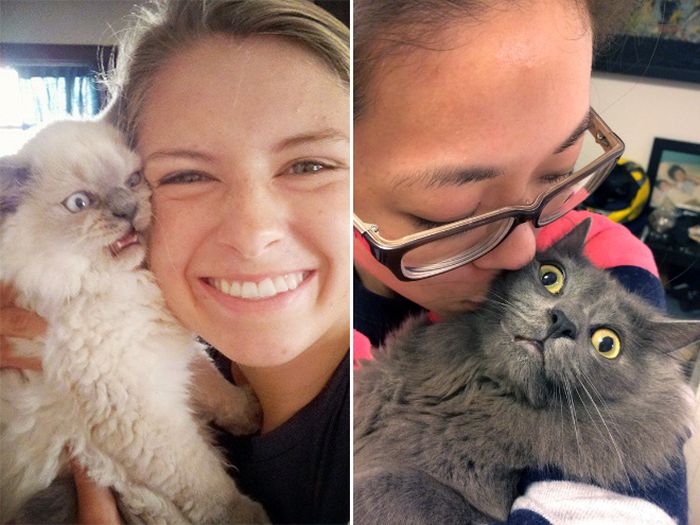 Cats That Didn’t Want To Be In Stupid Selfies (18 pics)