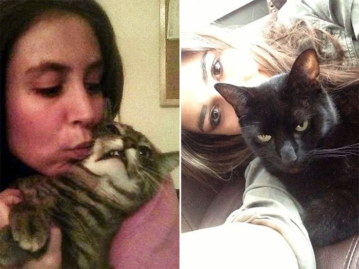 Cats That Didn’t Want To Be In Stupid Selfies (18 pics)