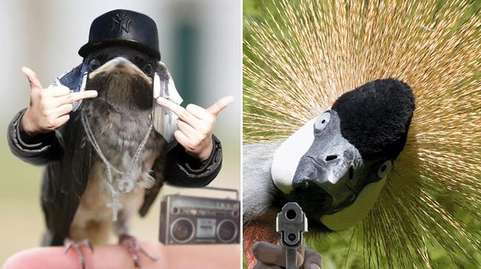 Human-Bird Hybrids (15 pics)