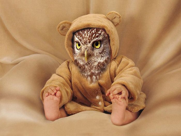 Human-Bird Hybrids (15 pics)