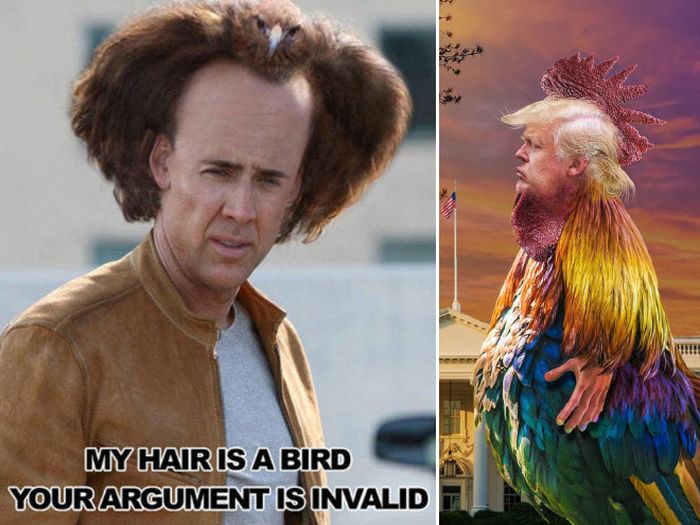 Human-Bird Hybrids (15 pics)