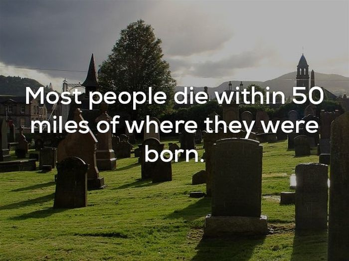 WTF And Scary Facts (21 pics)