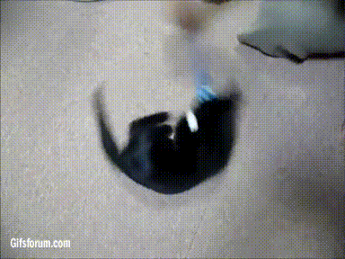 Acid Gifdump, September 05, 2017 (25 gifs)