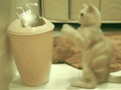 Acid Gifdump, September 05, 2017 (25 gifs)