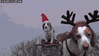 Acid Gifdump, September 05, 2017 (25 gifs)