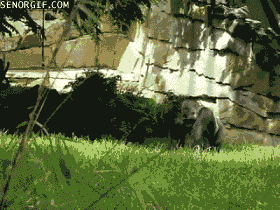 Acid Gifdump, September 05, 2017 (25 gifs)
