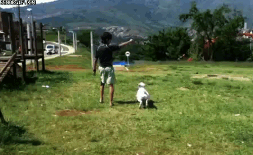 Acid Gifdump, September 05, 2017 (25 gifs)