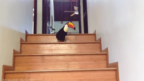 Acid Gifdump, September 05, 2017 (25 gifs)